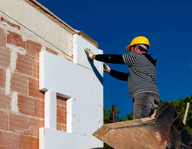 Best Professional Insulation Contractor  in Gothenburg, NE
