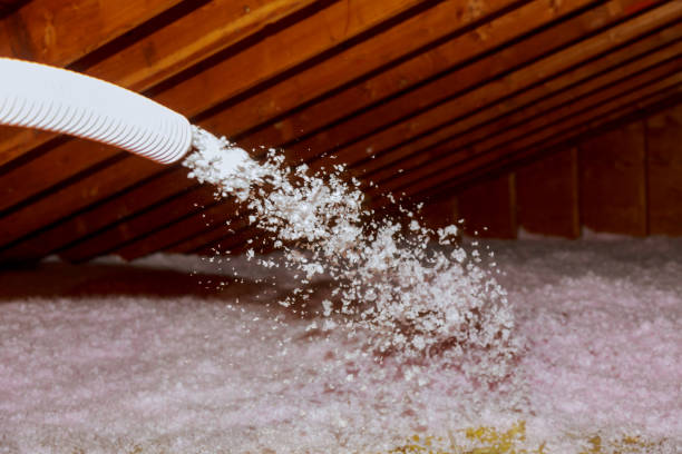 Best Insulation Contractor Near Me  in Gothenburg, NE