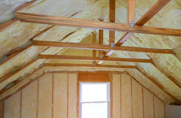 Best Energy-efficient Insulation  in Gothenburg, NE
