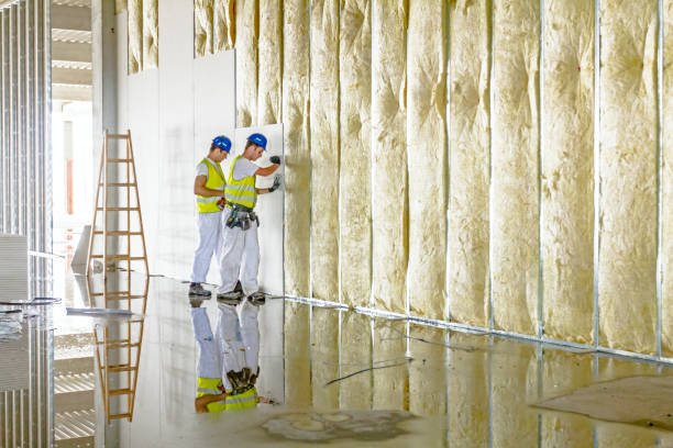Best Local Insulation Services  in Gothenburg, NE